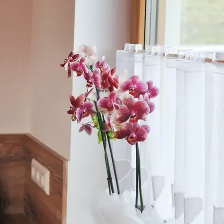 Sonnenchalet 2 Im Salzburger Lungau