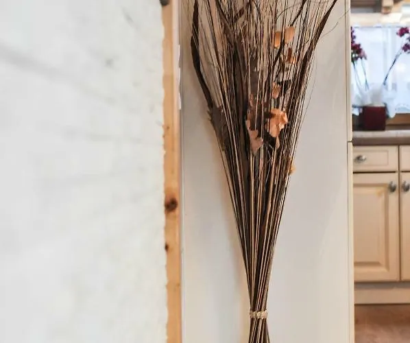 Dağ evi Sonnenchalet 2 Im Salzburger Lungau *