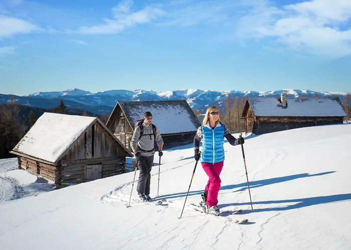 Domek alpejski Sonnenchalet 2 Im Salzburger Lungau Mariapfarr