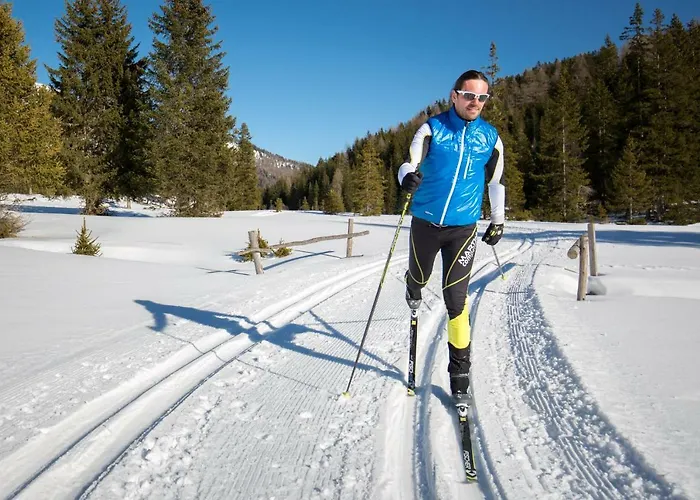 Domek alpejski Sonnenchalet 2 Im Salzburger Lungau Mariapfarr